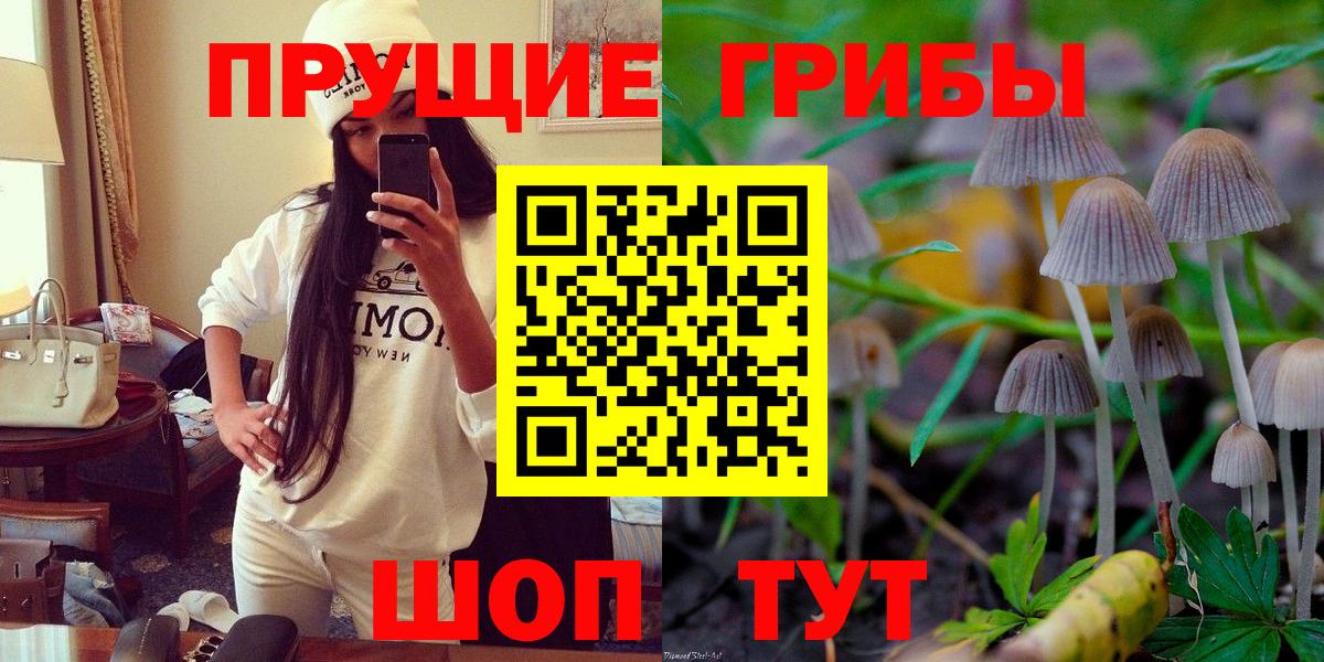 Благовещенск  Галлюциногенные грибы Psilocybine cubensis  Вход с VPN 